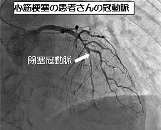 循環器内科