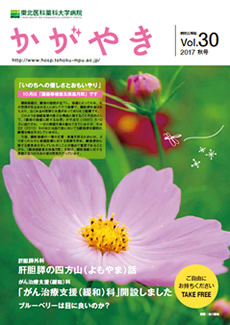 広報誌 かがやき vol.30