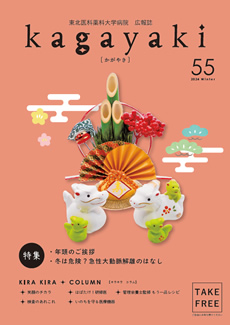 広報誌 かがやき vol.55