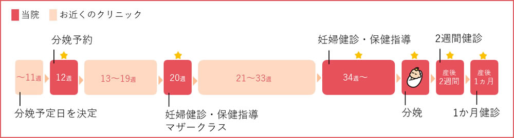 健診スケジュール