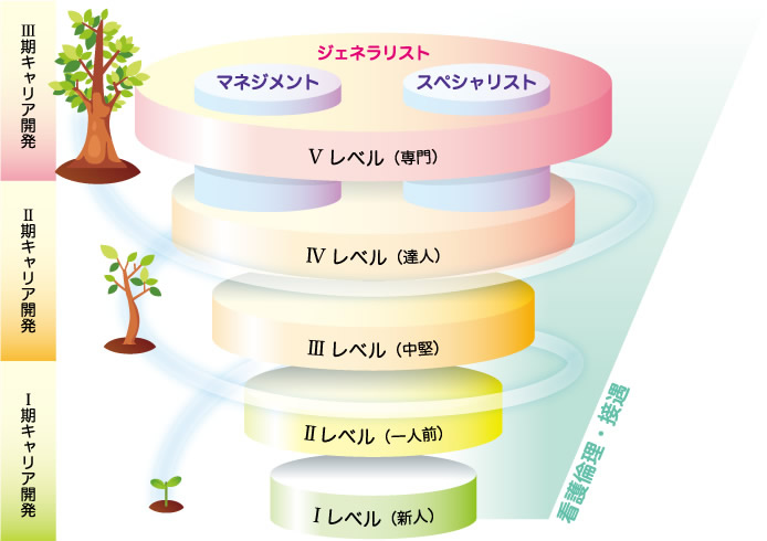 看護部キャリア開発全体像